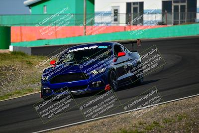 media/Apr-07-2024-VIP Trackdays (Sun) [[358c235f4a]]/Advanced Group/Session 1 (Turns 4b and 5)/